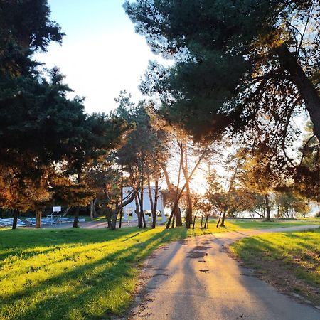Sunflower Camping Savudrija Exterior foto